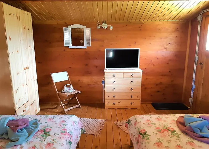 Lodge Robinson House Istra Porec Vižinada