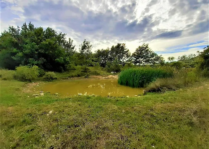 Robinson House Istra Porec Lodge *